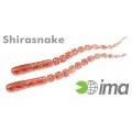 Shirasnake