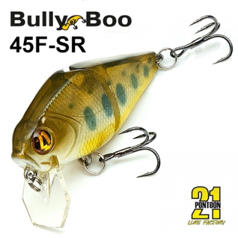 Bully Boo 45 (45F-SR)